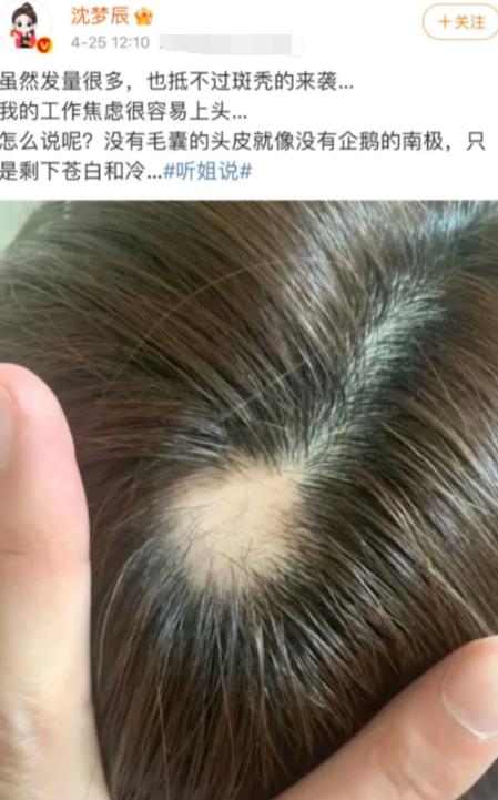 杨幂杨紫鞠婧祎,鞠婧祎杨幂杨紫的照片