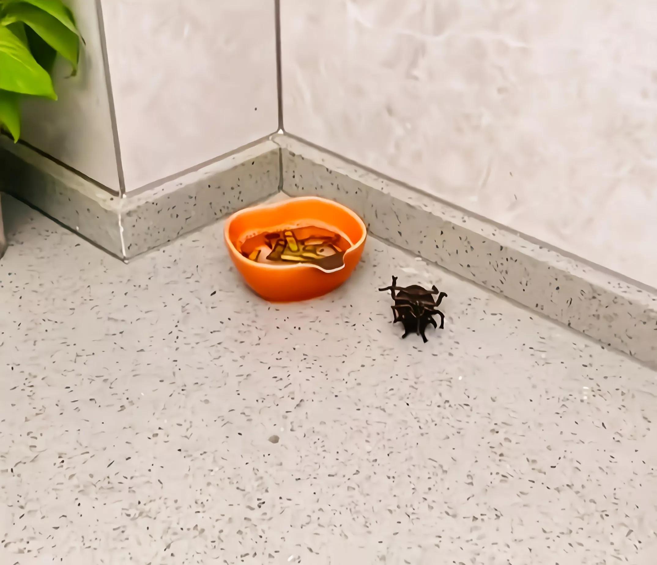 清理毛巾螨虫最有效方法,生活小妙招毛巾除螨