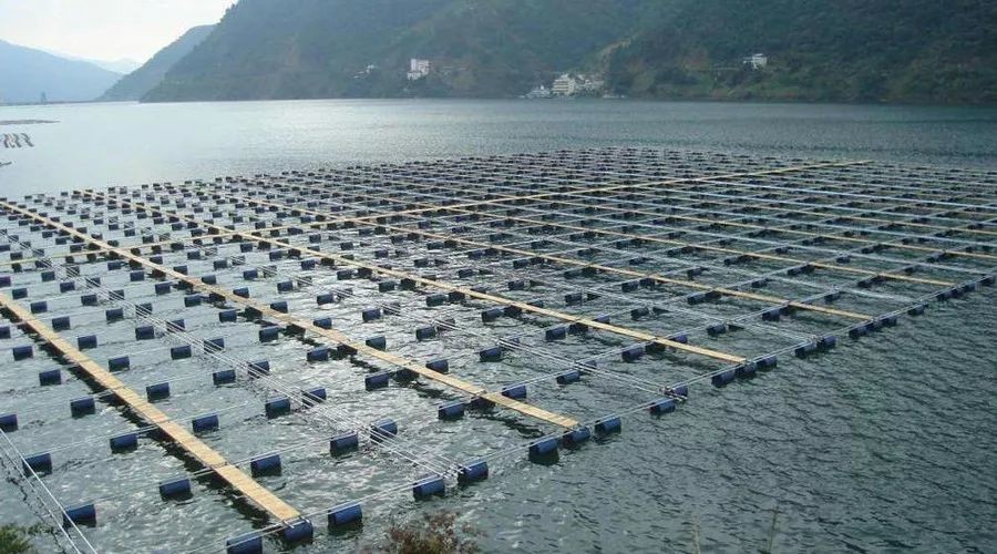 非洲硬舌异口尼罗河的日粮广度变化：对物种保护和水产养殖的影响