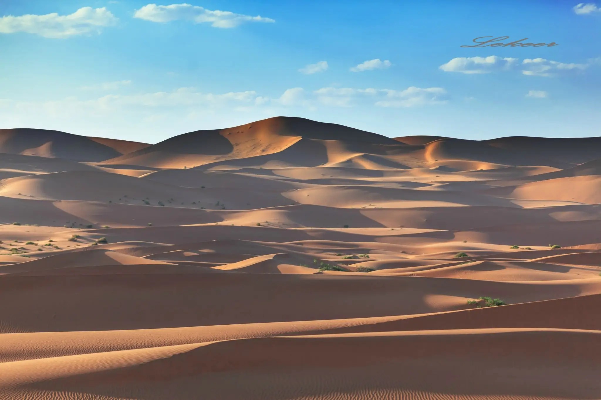 沙漠变绿洲对地球有什么影响,沙漠变绿洲这属于什么现象