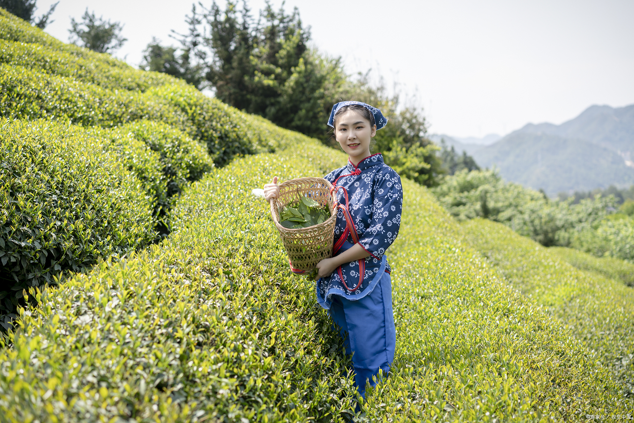 商洛特产小吃介绍,商洛十大特产有花椒吗