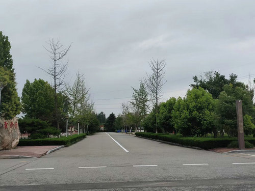 临沂实验学校都有哪些,临沂益民实验中学