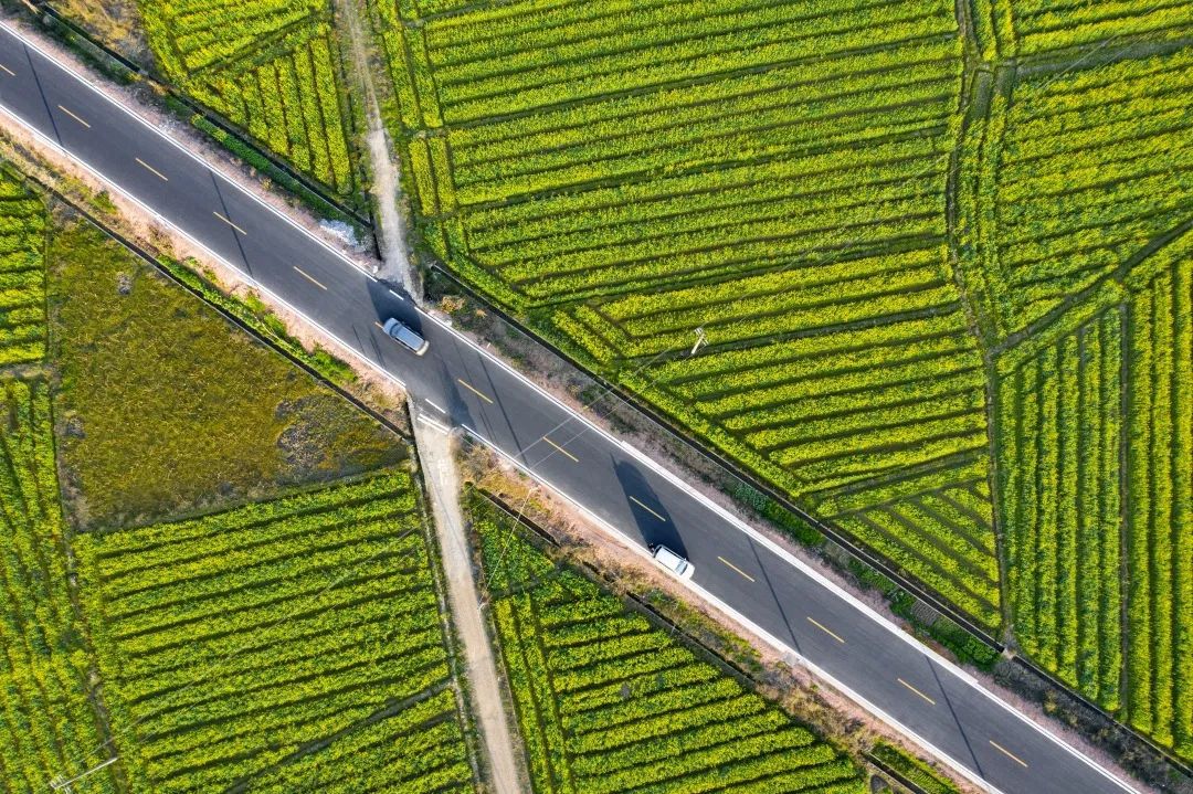 广东省建设美丽圩镇攻坚行动方案,广东省美丽圩镇创建方案