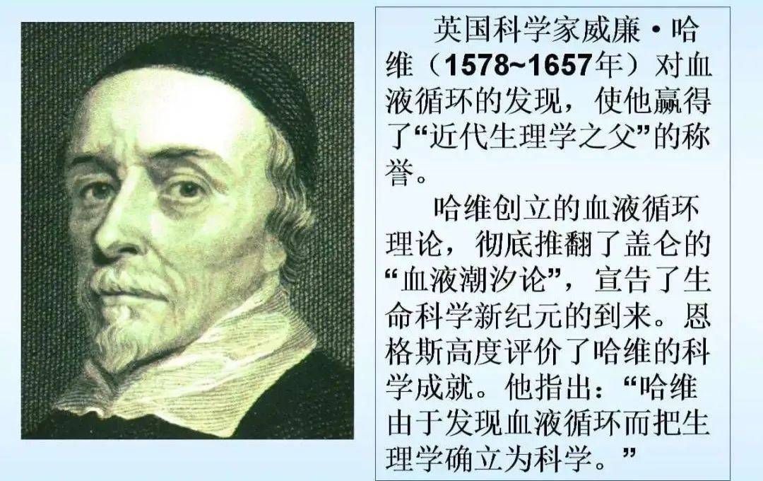 现代医学的初创：二、新理论与新办法