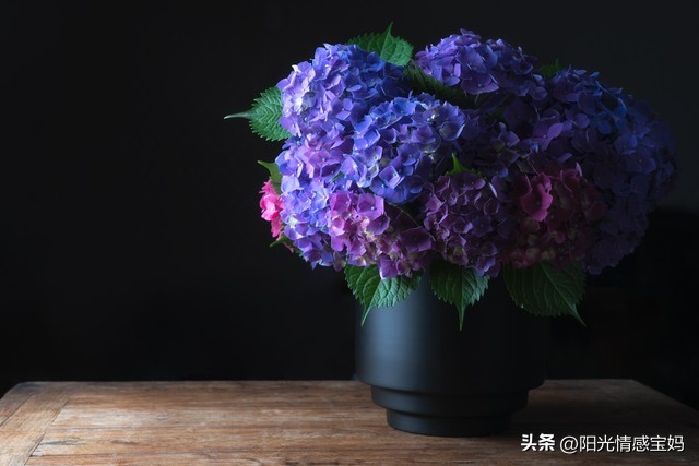 心情灰暗的微信头像,彻底伤心绝望的微信头像