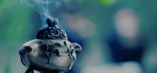 沉香是世界上最有价值的木材,世界上最贵一公斤木材