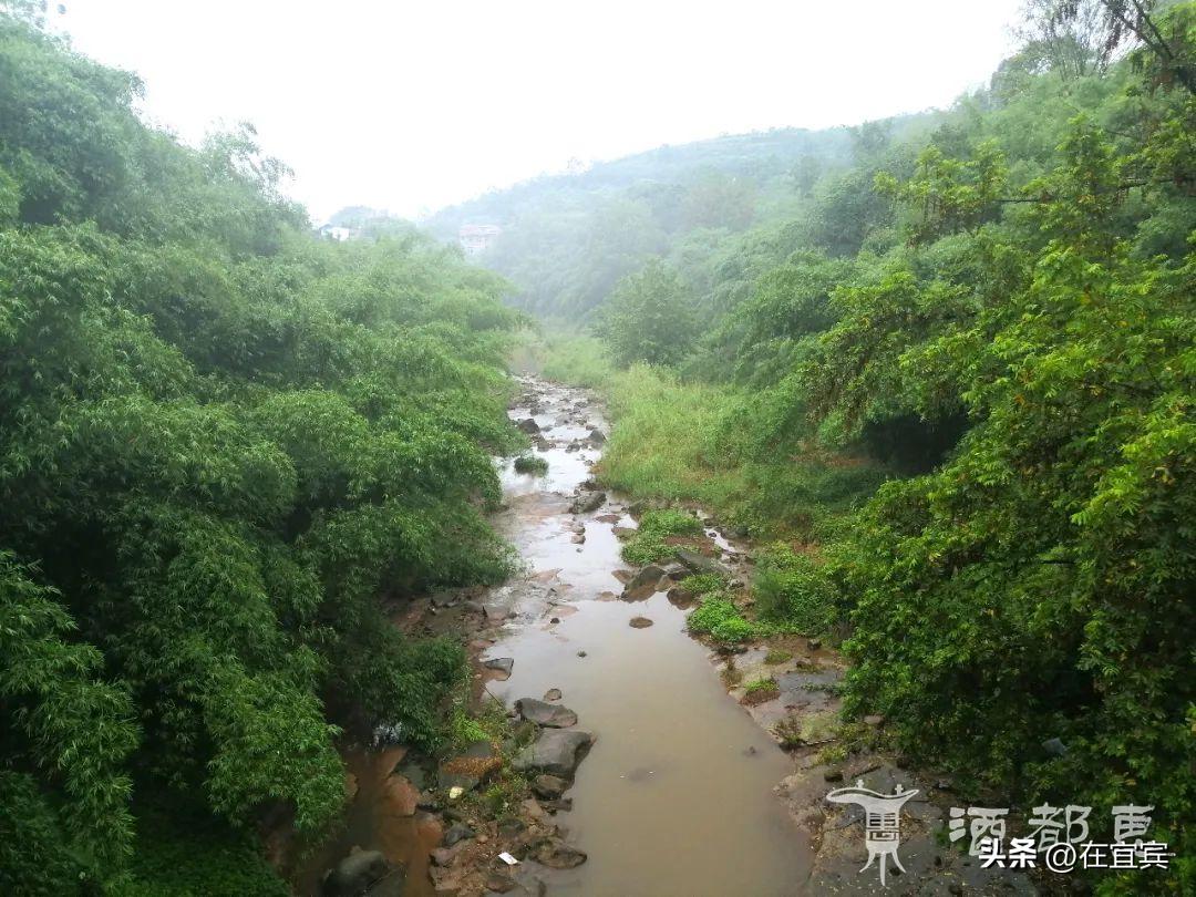 恐龙故乡黑龙江,四川的恐龙之乡