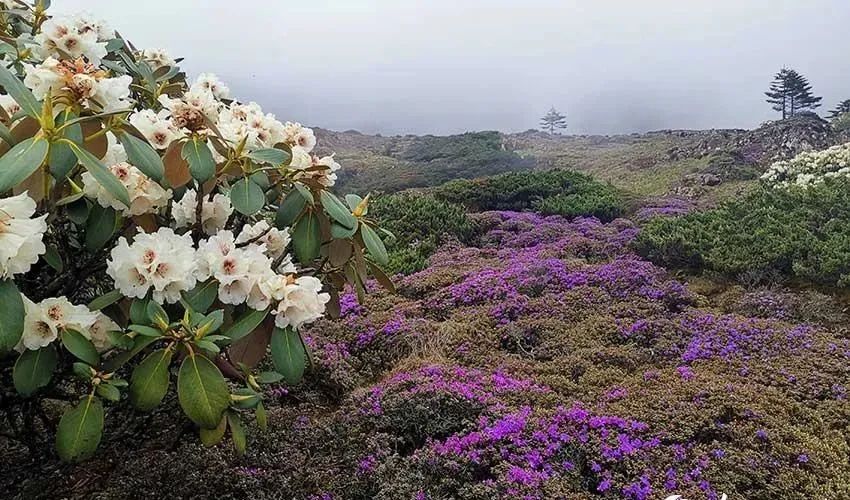 昆明七彩云南怎么样,七彩云南避暑家园