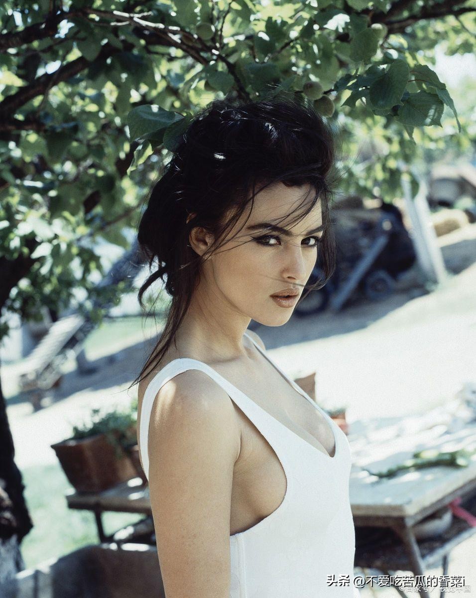 我国名气最大的十大巨星排名,中国十大顶级巨星排行