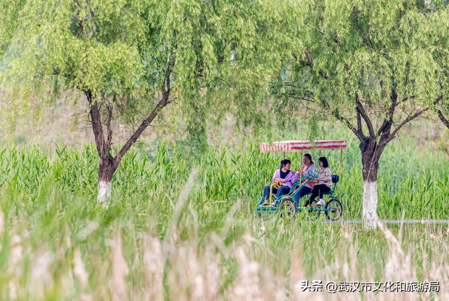 端午节私藏版游玩攻略,蔡甸2021年1月游玩攻略