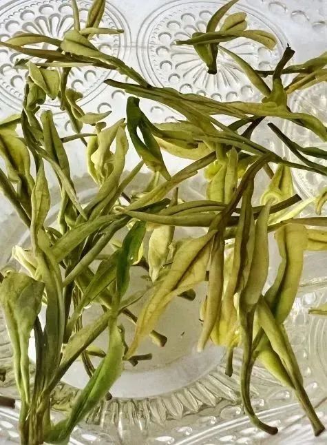 走访一木青茶茶业贸易有限公司,帮助企业制定电商运营计划