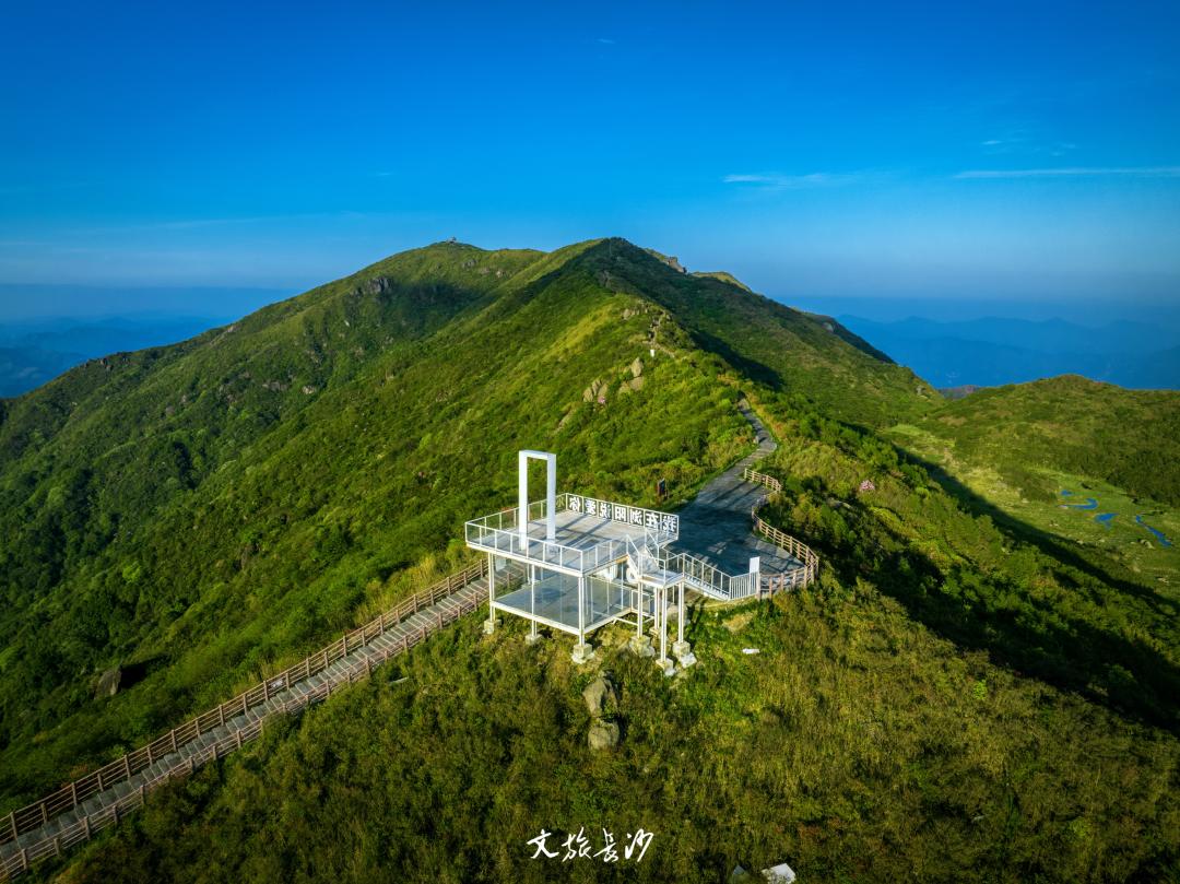 娴忛槼鐑熻姳鏃呰,鏄熷煄鏃呮父鏀荤暐