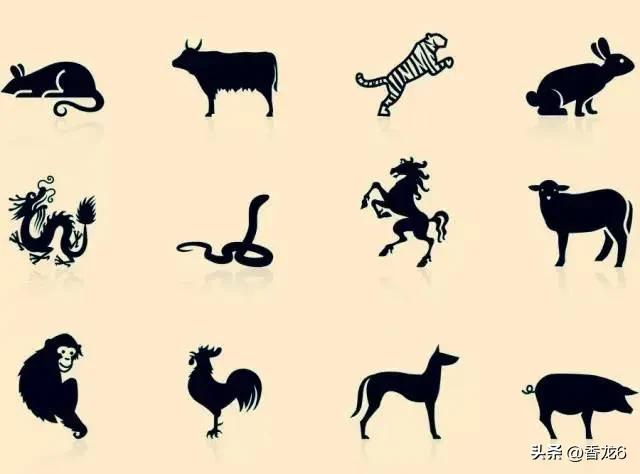 十二生肖评分标准,十二生肖的百科知识