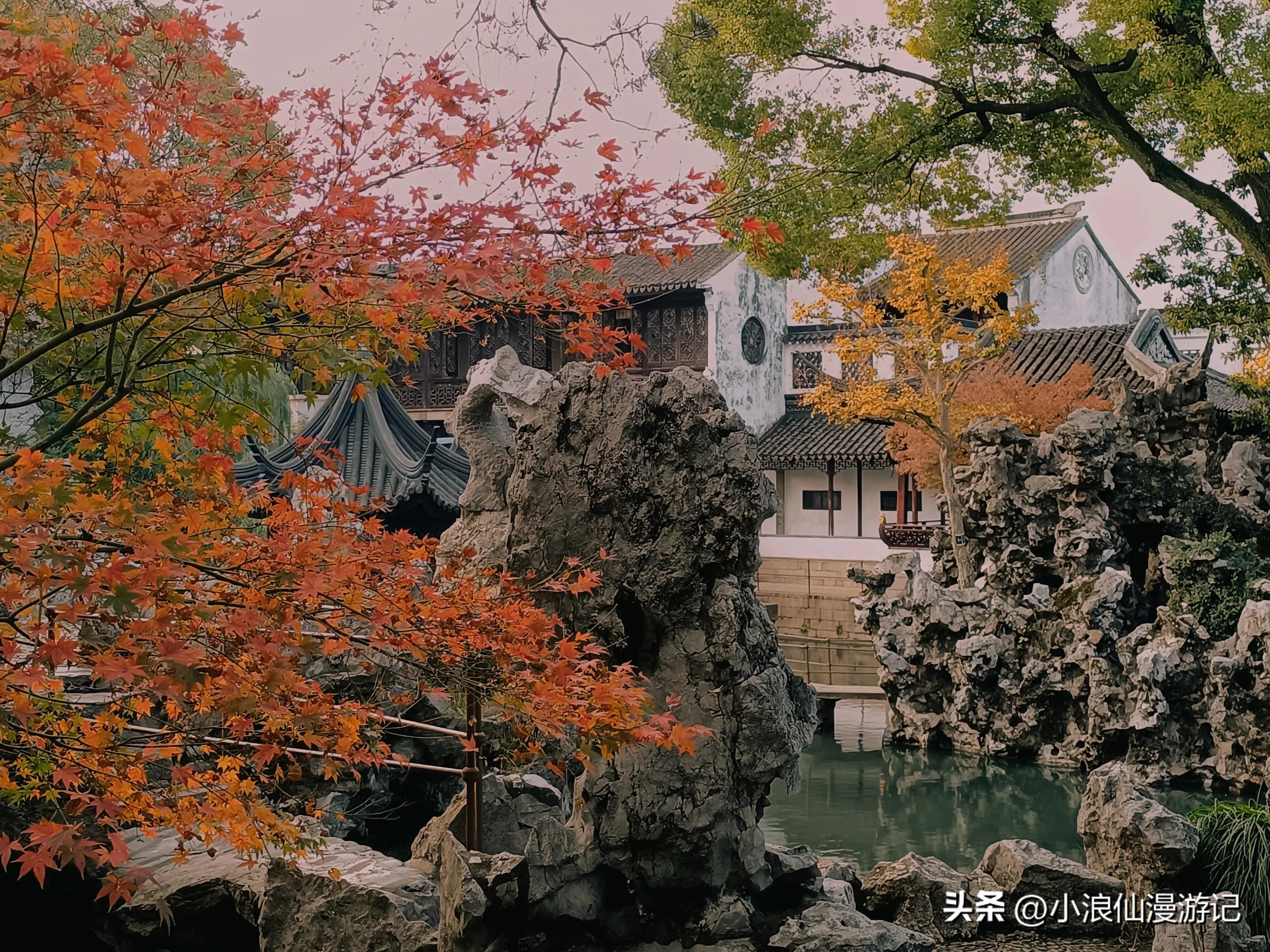 苏州天平山赏枫品茶的句子,苏州赏枫除了天平山还有哪
