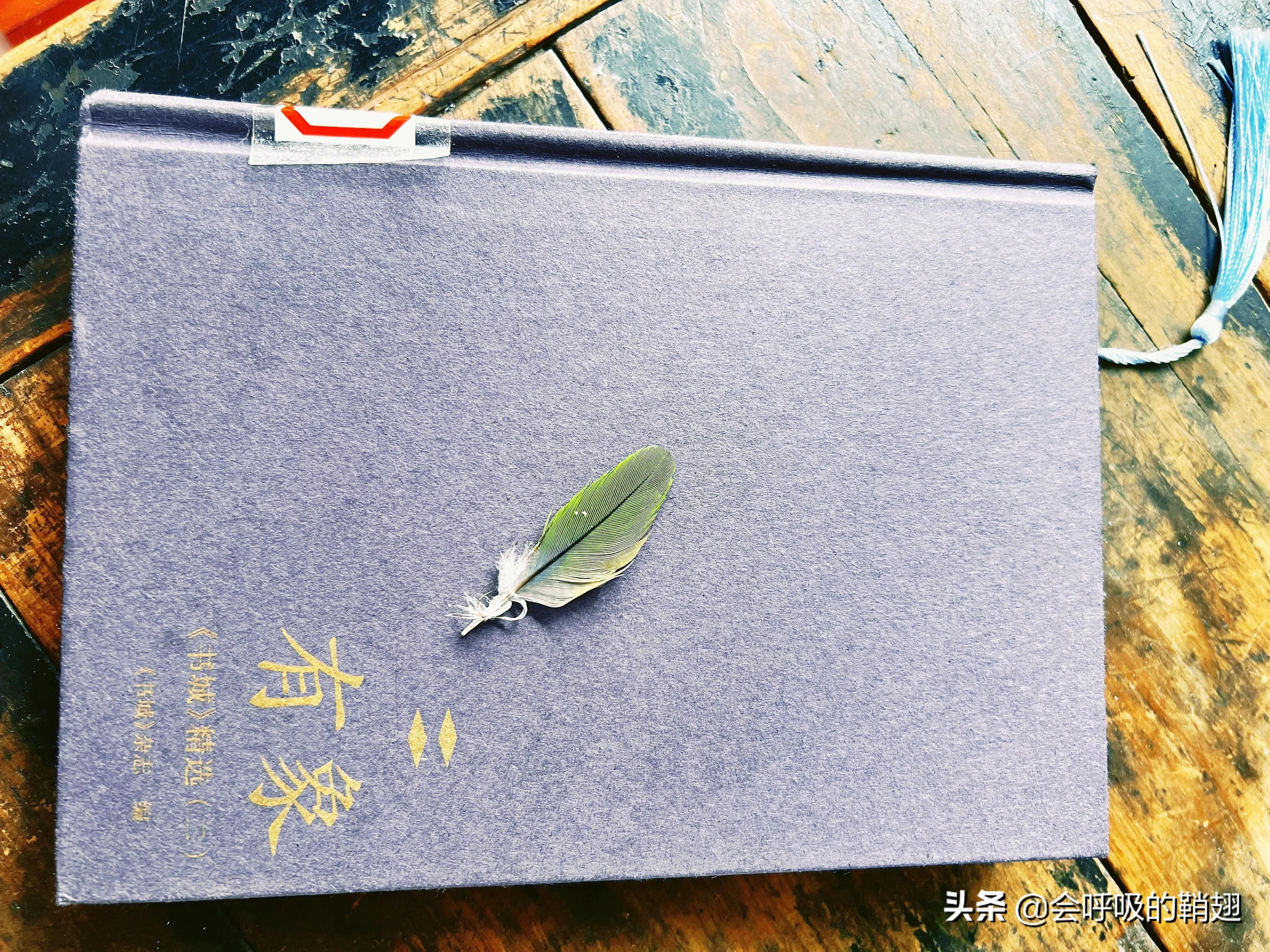 那些年我们读过的书读书心得,大学生必读的10本书读后感