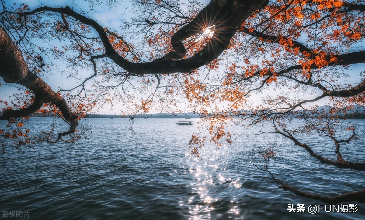 学摄影必看的9大技巧汇总,必须掌握的12条摄影法则