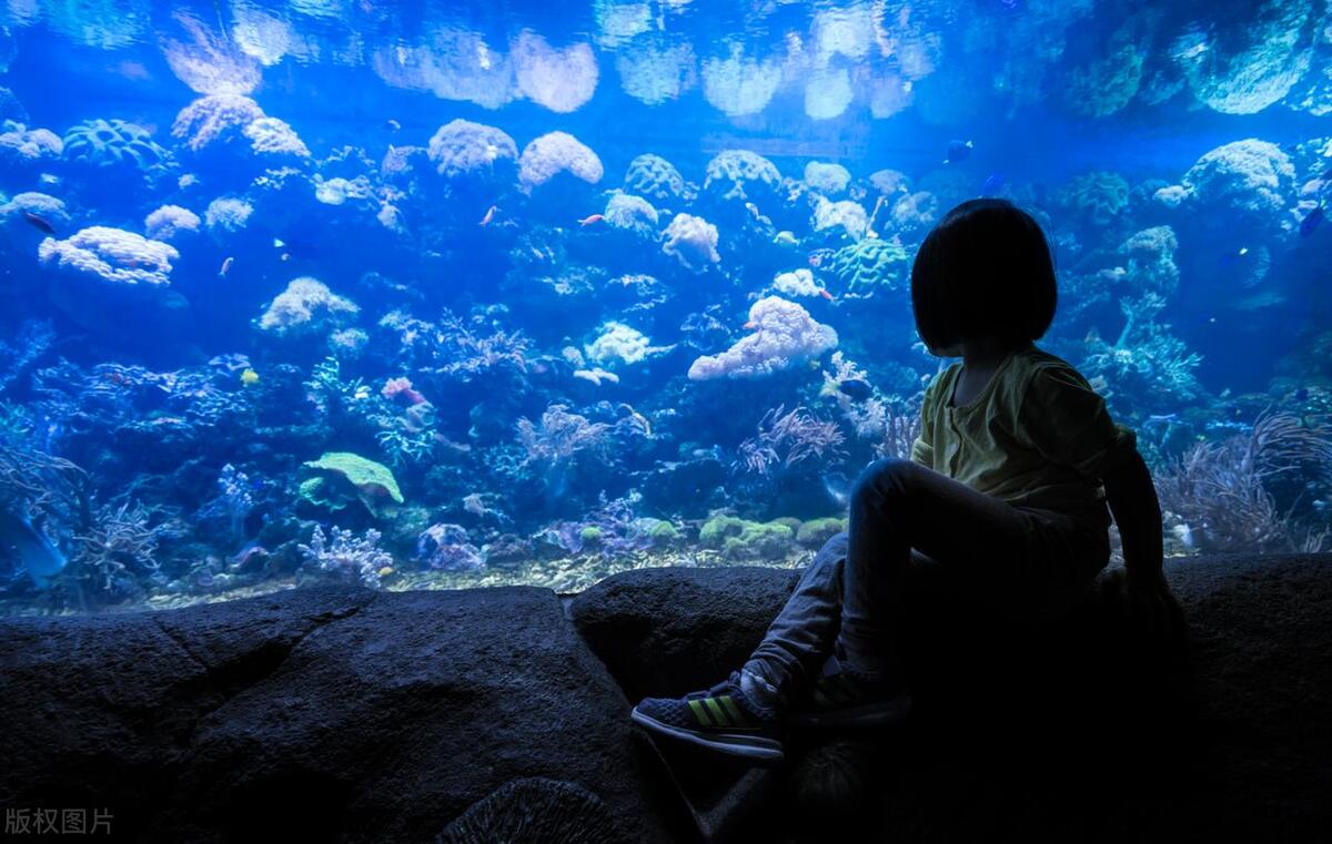 青岛值得去的十大景点有哪些,青岛最值得去的五个景点