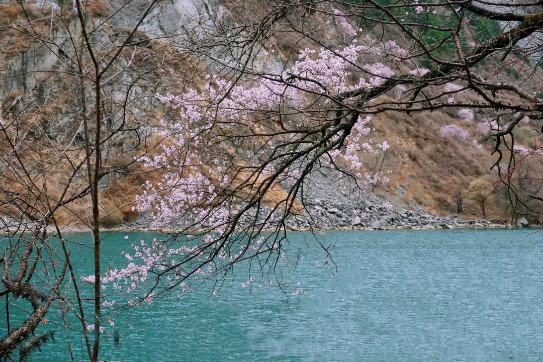 好消息这些景区门票减免优惠,石根山3月8日免票吗