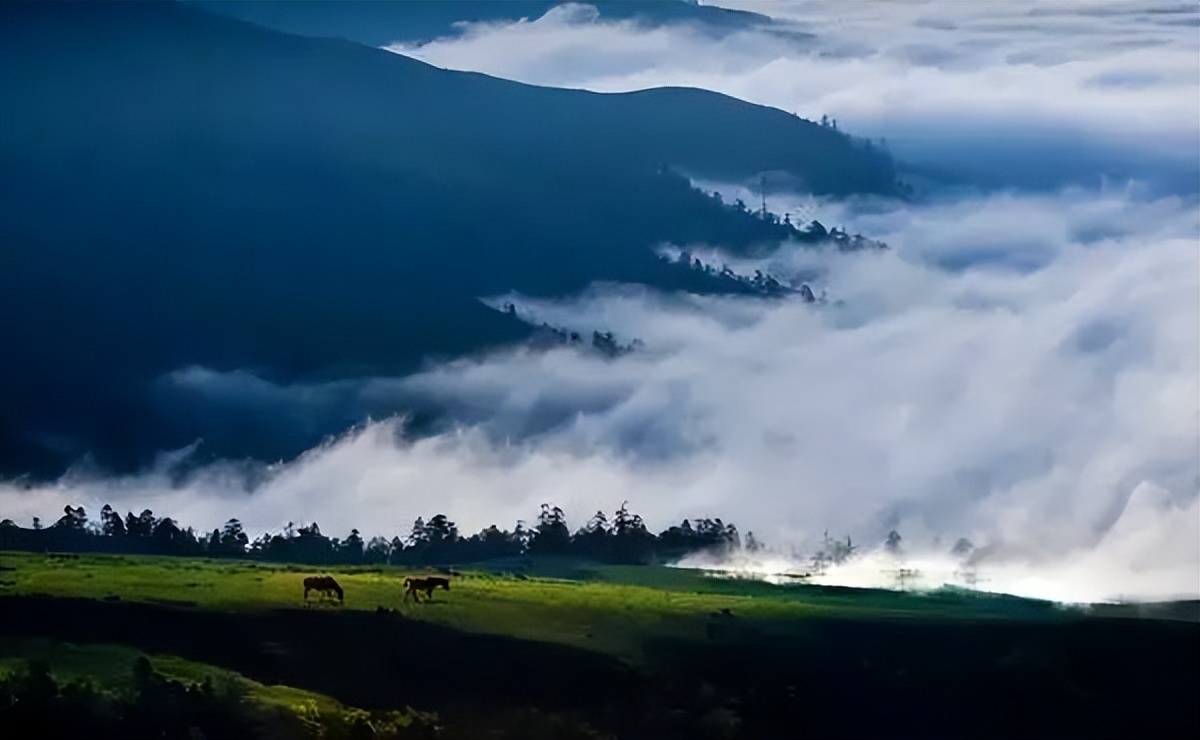 昭觉美姑,美姑路况