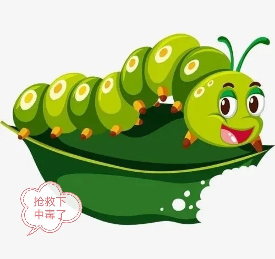 针对害虫使用正确的杀虫剂配方,杀虫剂如何杀虫