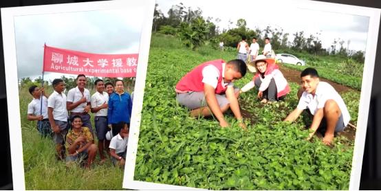 汤加国王放弃权力,汤加国王坐宝座