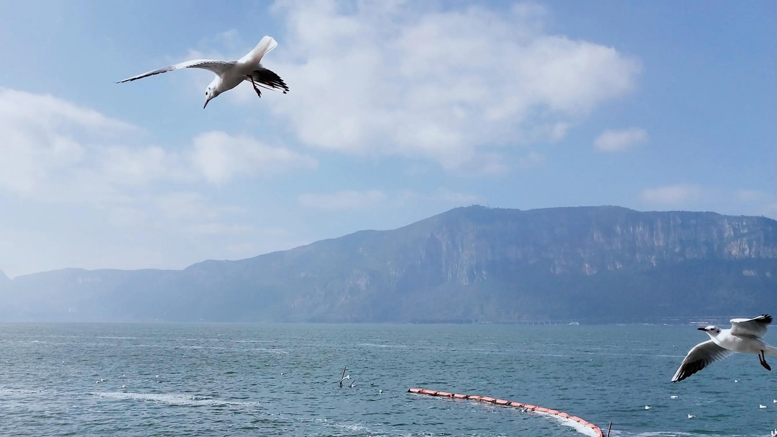 *女熟**？*女熟**