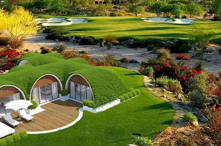 绿色屋顶在绿色建筑中的作用,温哥华典型建筑