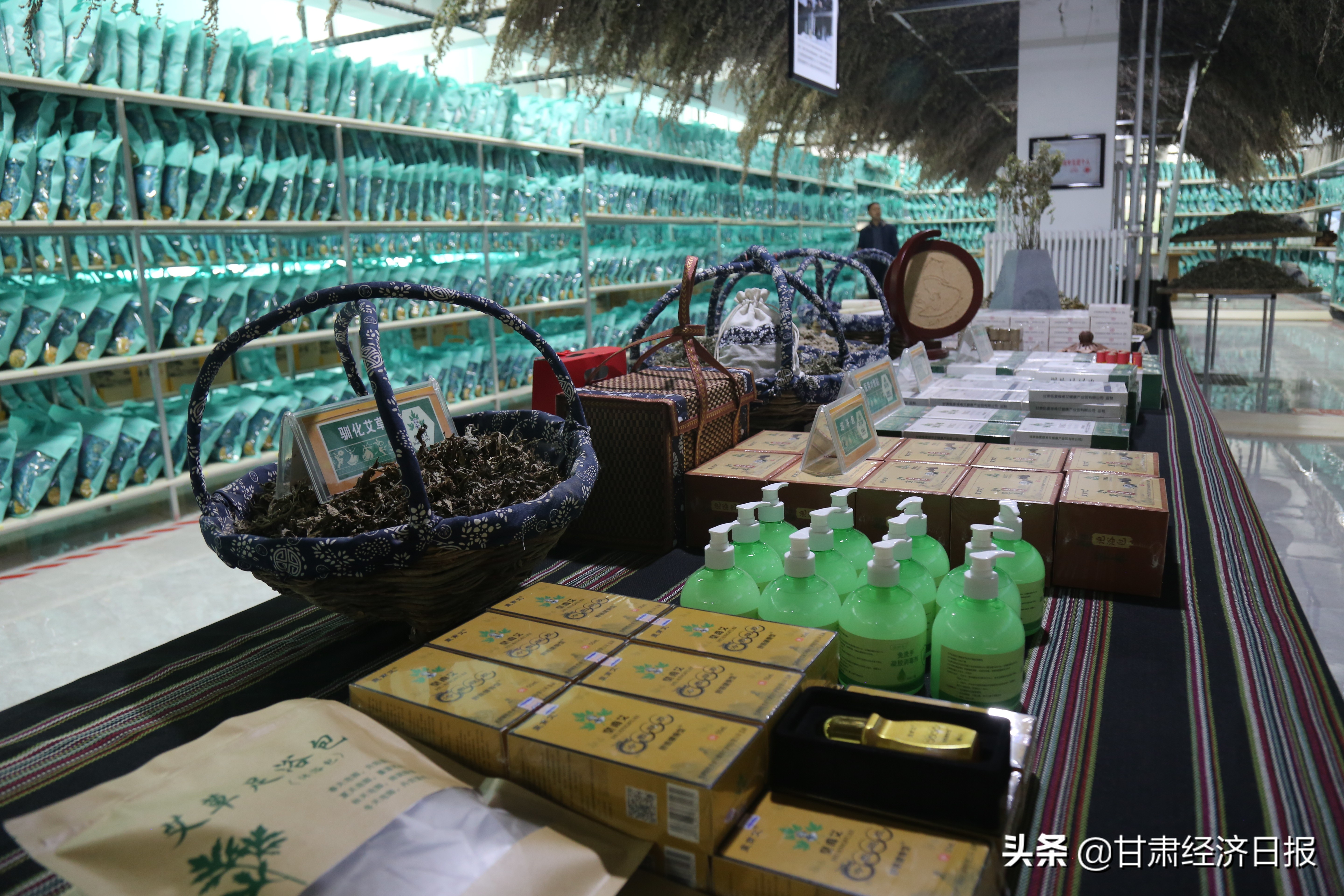 一株艾草的作用有多大,艾草一亩利润有多大