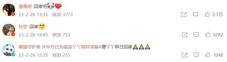 多位明星为国宝丫丫发声！黄晓明惹争议，身为熊猫大使出面太晚