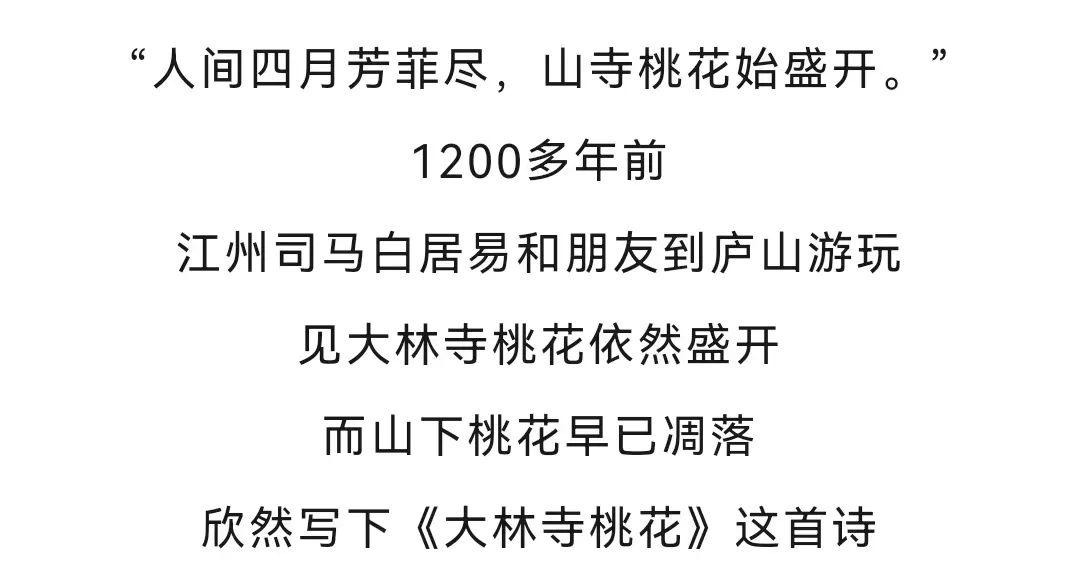 清凉一夏旅行完整版,清凉一夏与你同行踏浪看海