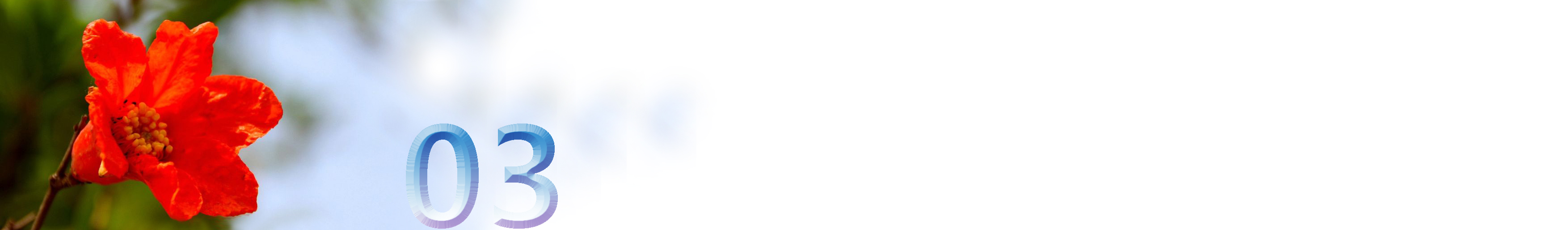 五月石榴花开的唯美诗句,关于石榴花的美文和诗句