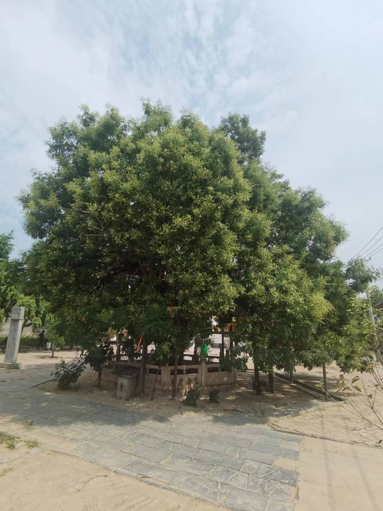 白云寺是河南四大名寺吗,河南四大白云寺名寺