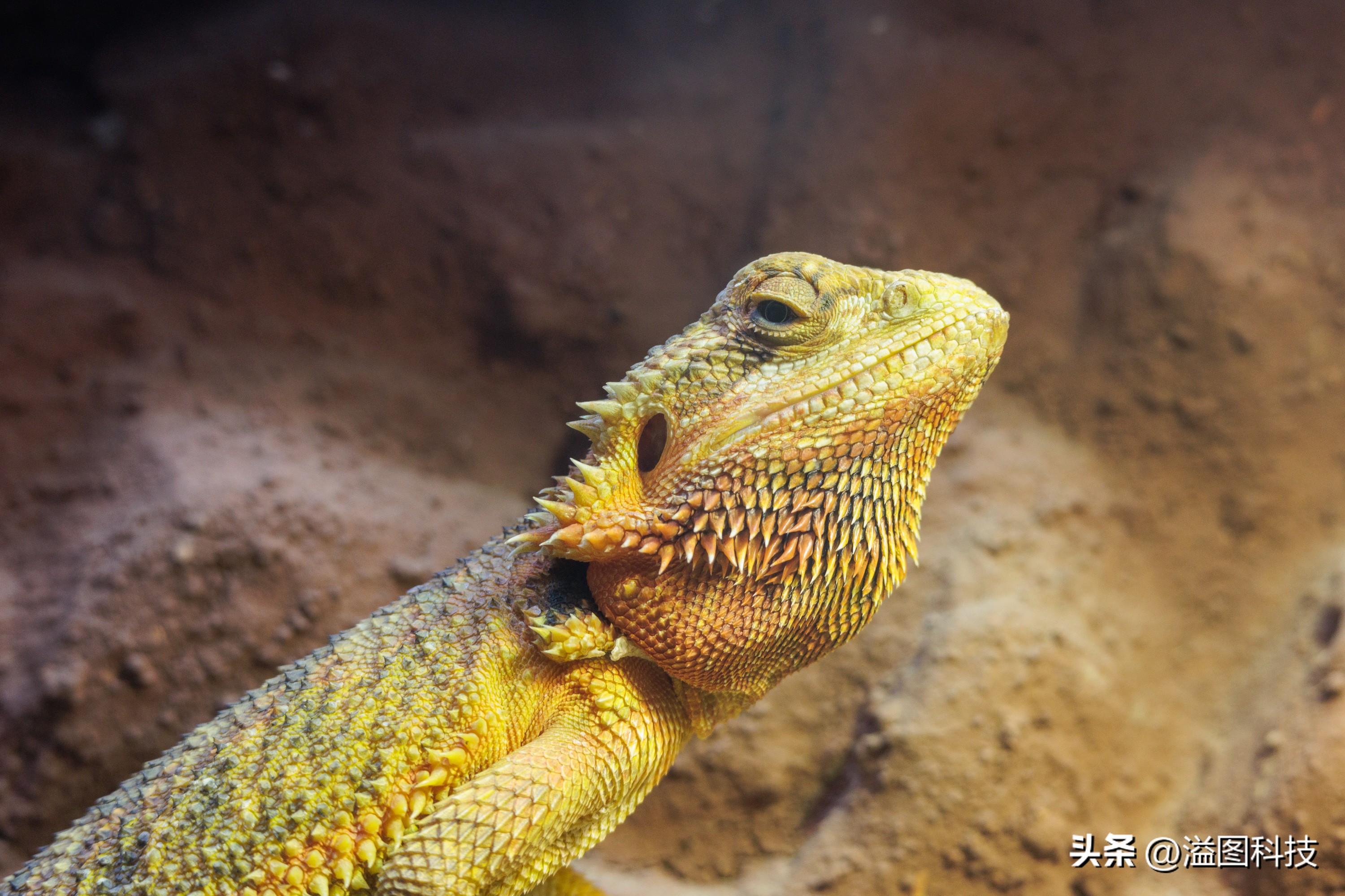 佳能rf-s55-210mm,和儿子感受大自然的气息和美景