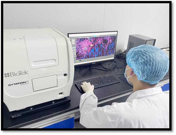 鏄婁桨鐢熺墿,鏄婁桨鐢熺墿绉戞妧鑲′唤鏈夐檺鍏徃