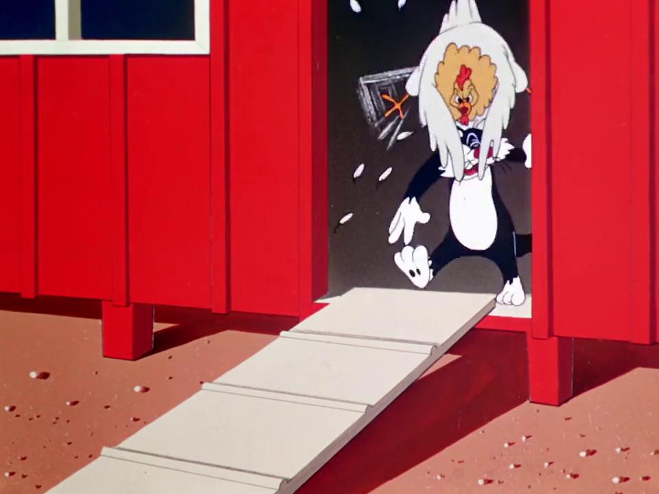 被虐的猫满嘴糊糊,可爱猫咪被虐动画