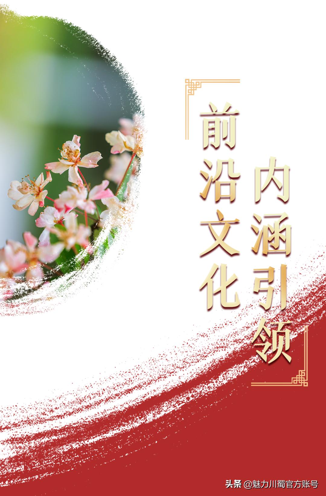 代码009，与未来快乐邂逅丨@中考学子，这里是绵阳中学实验学校