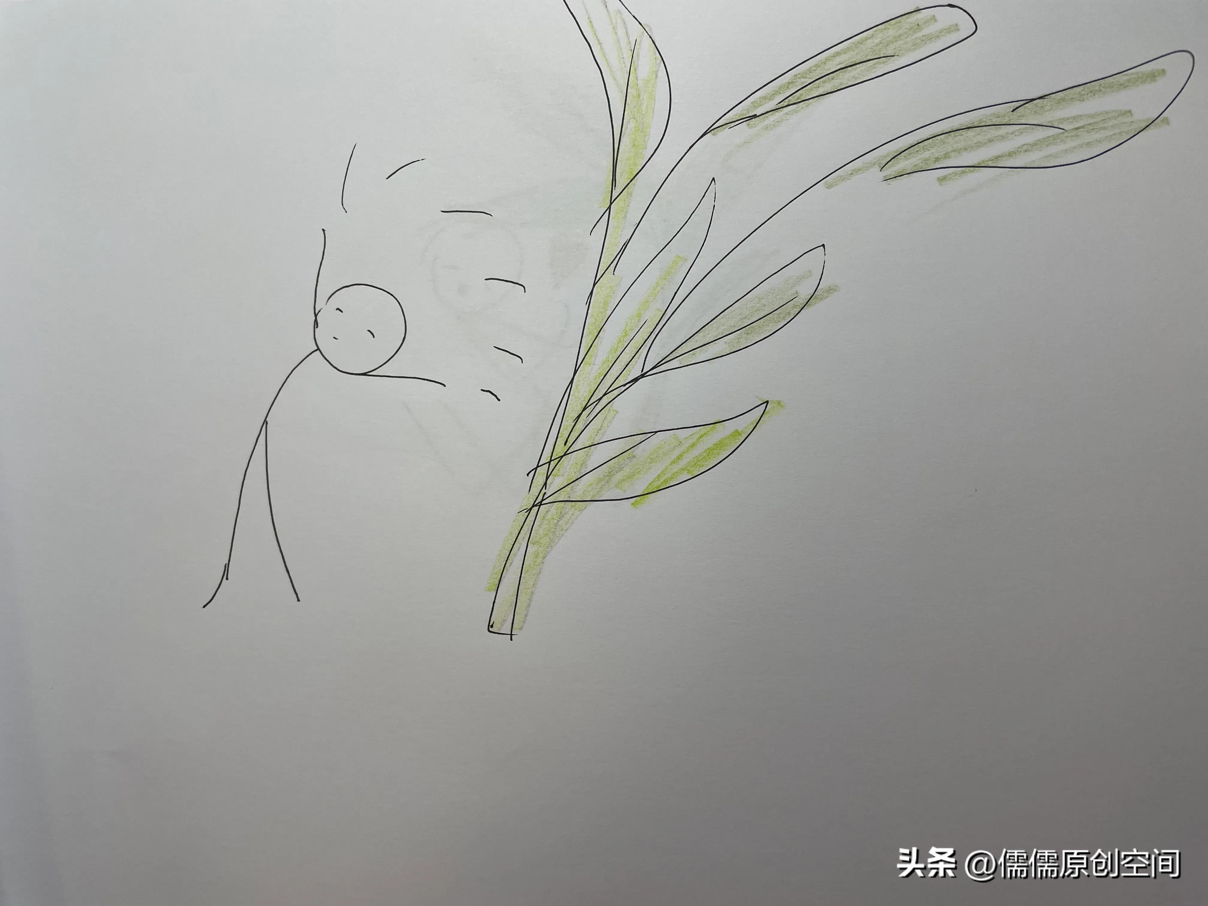 爱情的故事,花之恋的故事