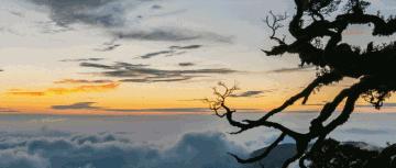 父爱如山如大海般深沉,父爱如山就是最伟大的爱