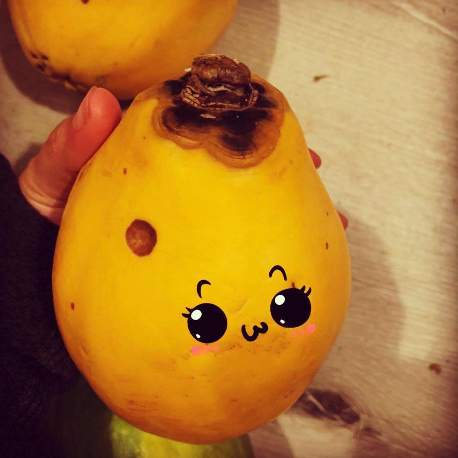 长得丑被抛弃,长得丑被人抛弃