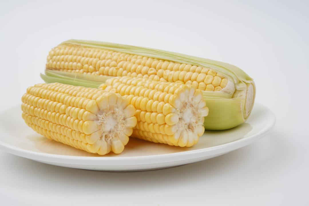 有关玉米的的知识,关于玉米的讲解文字