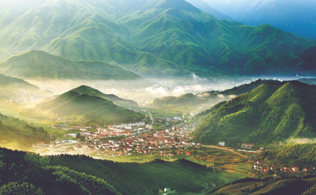 一根竹子打造一万亿产业 (一根小竹子做出大产业)