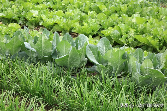 口腔溃疡舌头溃疡吃啥药,咬嘴了用什么药能预防溃疡