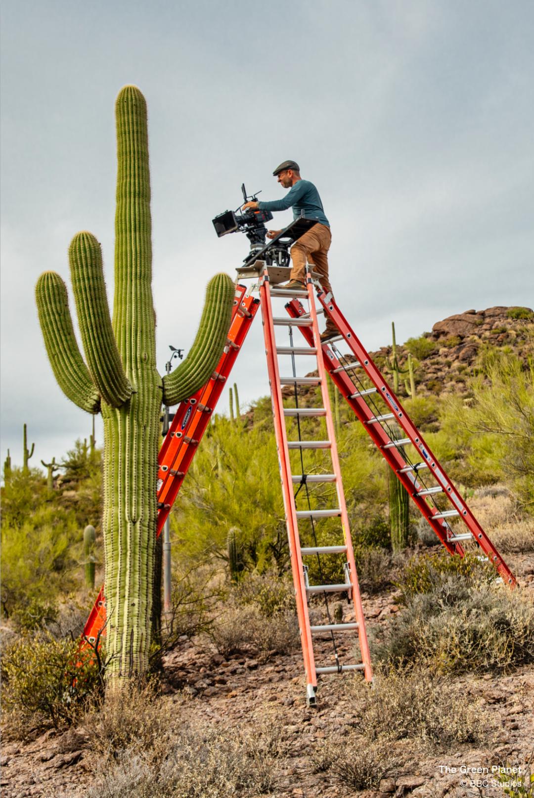 96岁还在奔波工作，这老爷子做出了今年9.8分神片