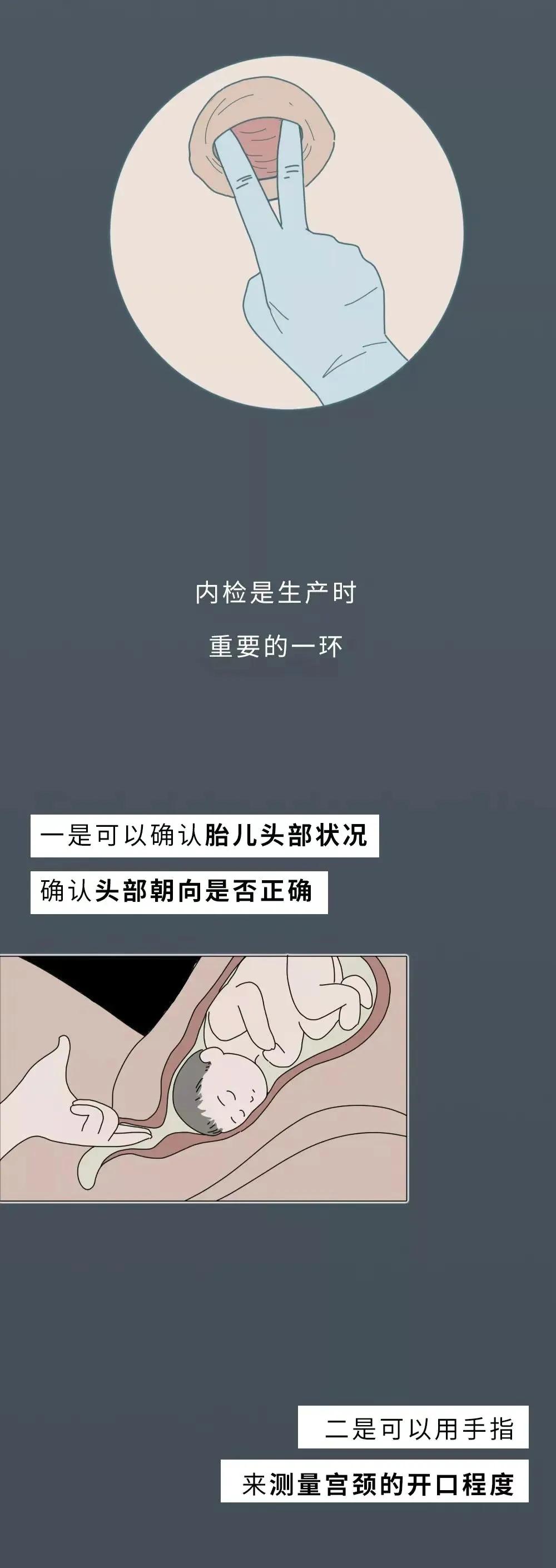 女人生宝宝的科普故事,科普关于女人生孩子