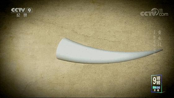 一口气八集!拿命换来的燃,果然是央视良心