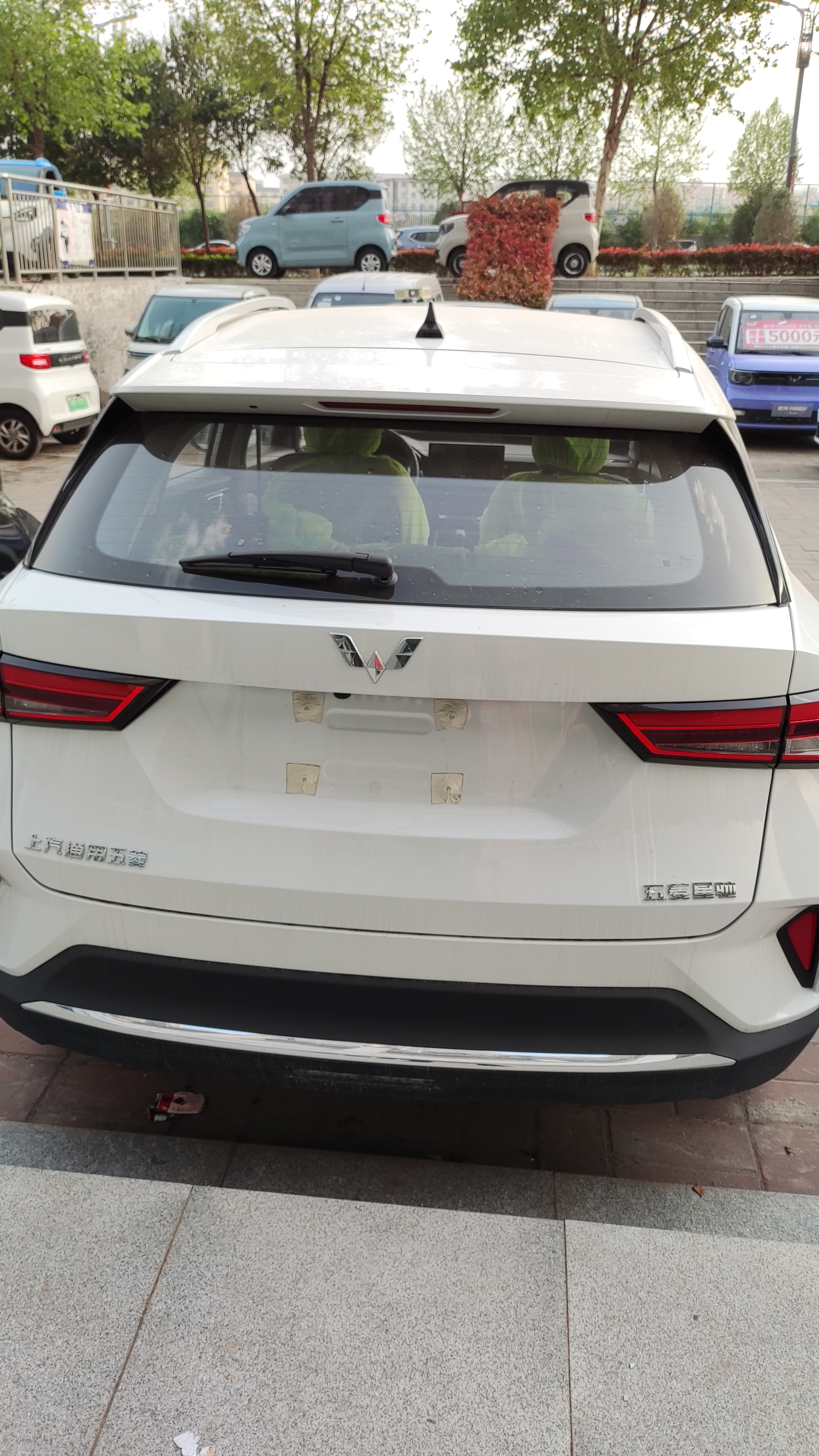 纸上得来终觉浅作文800字事例,纸上得来终觉浅的另外一句是什么