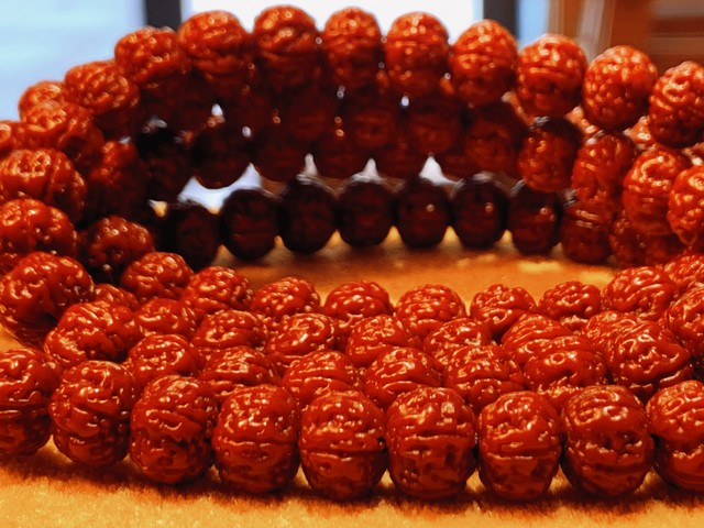 金刚菩提的12个基础知识,牢记这8句话让你终生受益