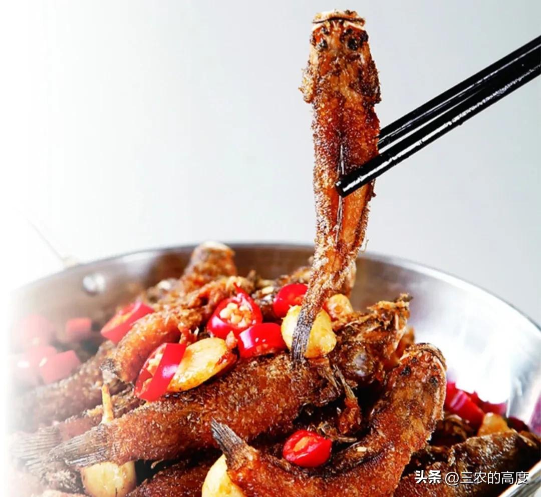 河鲜四大名鱼,最顶级的河鲜鱼