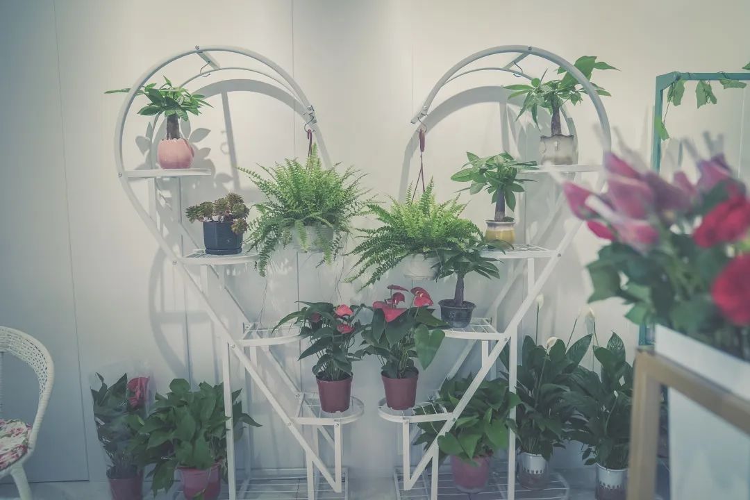 惊艳！！！西译商业街上线