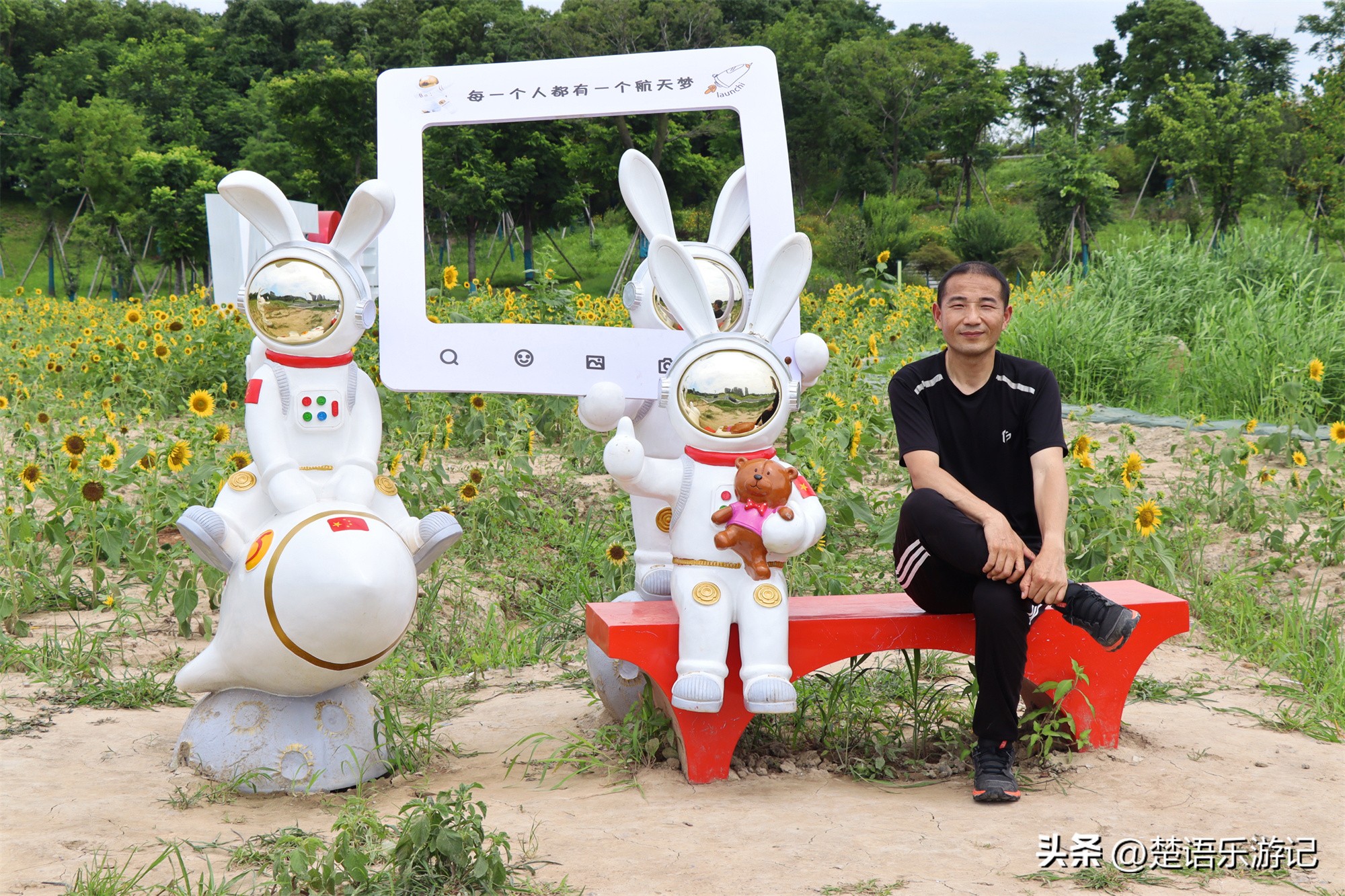 宁波附近向日葵花海在哪里,宁波向日葵花海打卡网红地